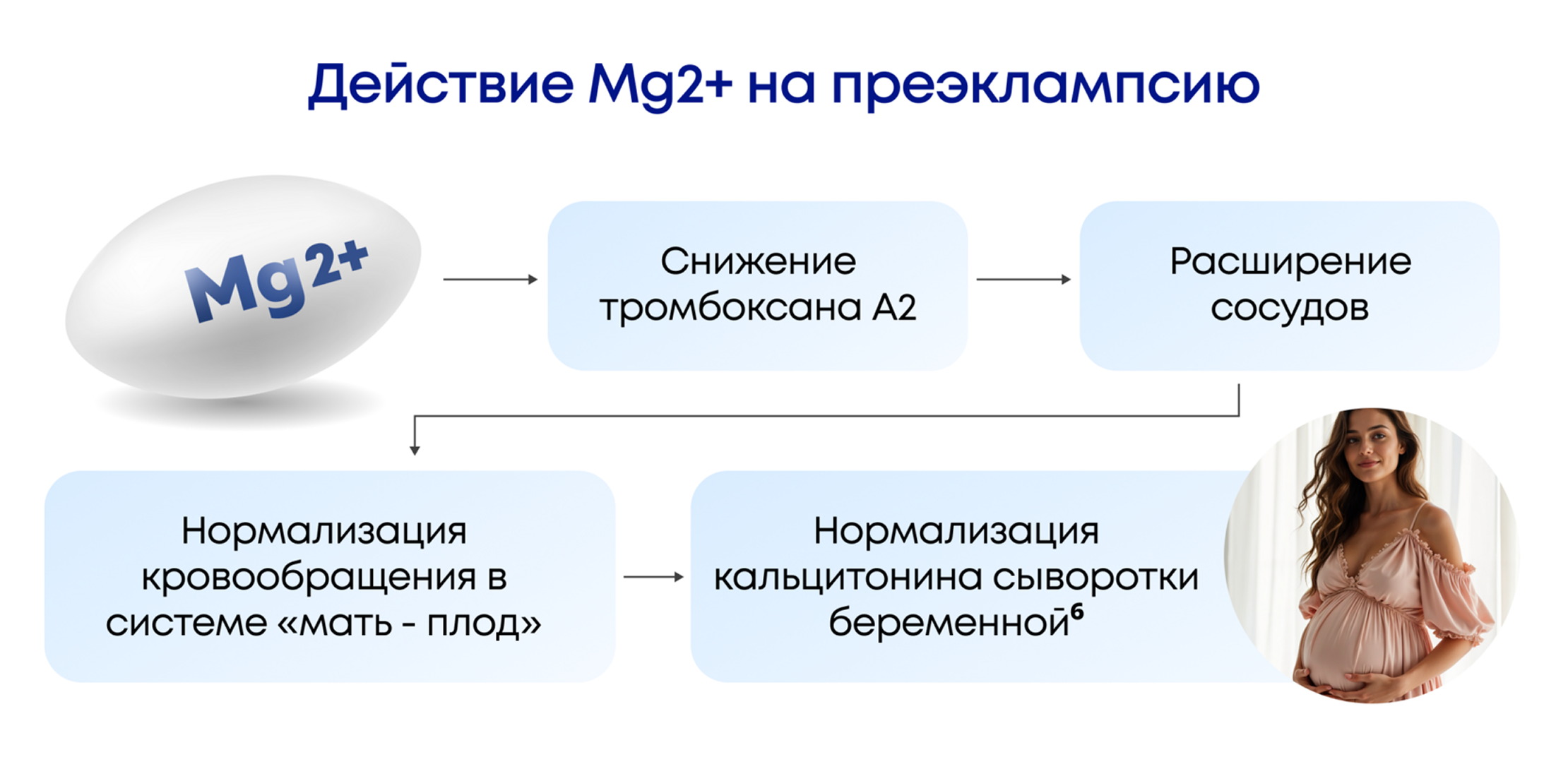 Схема действия магния